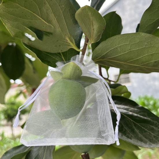 Fruit Protection Bags Drawstring Closure Mesh Fruit Bag Reusable Fine Mesh Covers for Tomatoes Strawberries Vegetables Protection from Insects Birds
