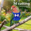 Net Bird Harness Vest and Leash For Small to Large Parrots Flight Suit Ensures Comfort And Security During Walking