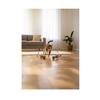 Jouet pour chat - EDEN - Katti - Balle de cataire - Avec plumes - Lot de 2
