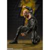 Pohyblivá figurka SHFiguarts Black Adam přibližně 165 mm PVC&ABS&látkou lakovaná BAS64170