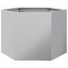 Vidaxl Garden Planter, Hexagonal, 69X60X45 Cm, Galvanized Steel