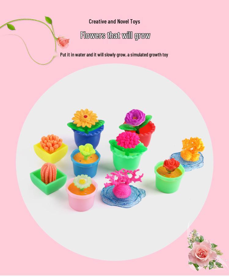 Water-Expanding Cactus Succulent Toys - Creative, Unique & Novel Gifts for Kids