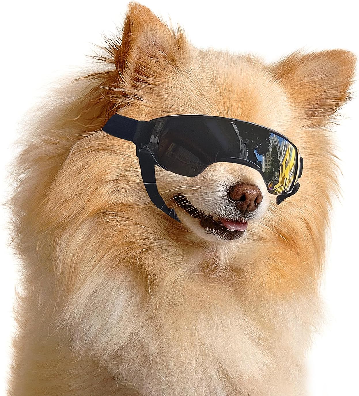 

ATUBAN Dog Goggles Small Breed,Puppy Sunglasses UV Protection,Outdoor Ash Prevention,Driving Dog Eye Protection,Antifog Glasses