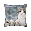 Pillow Case Space Banana Aliens Cat Square  Pillow Cover For Couch Sofa Bedroom Novelty Pillowcases