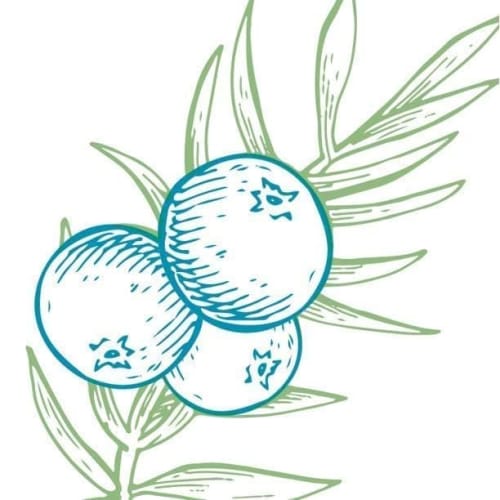 Arm Hammer Essentials Clean Juniper Berry Deodorant with Natural Deodorizing Ingredients, 71g (2.5 oz)