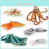 Realistic Pvc Squid Model Decorative Ocean Animal For Home And Office Display