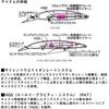 Daiwa Shoreline Shiner Z Set Upper 97S-DR Chart Back Pearl Fishing Lure