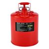 Safety Gas Can, 19 L Type II Red Safety Can for Gasoline with Stainless Steel Flame Arrester, Self-Closing Lid, and Flexible Metal Spout, Carbon Steel
