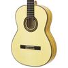 ARIA Flamenco Guitar with Soft Case A-100F