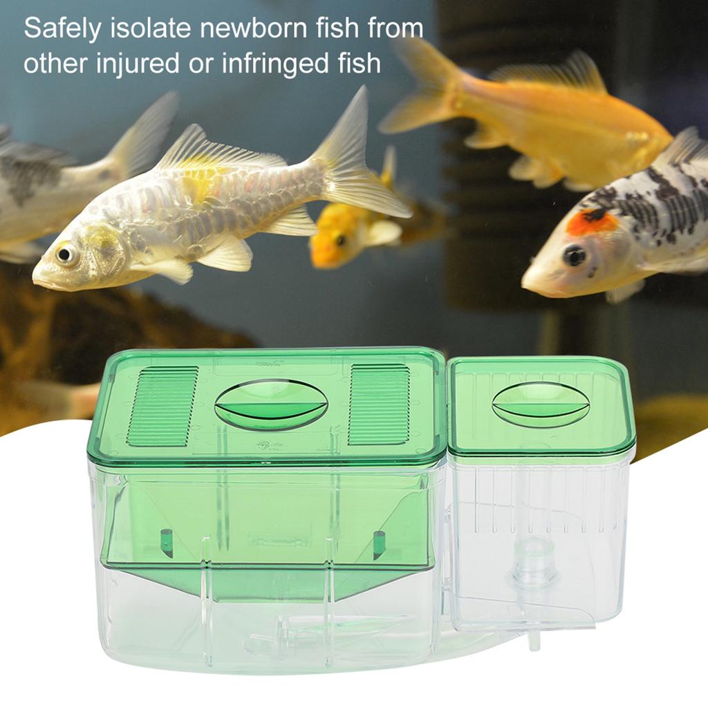 Aquarium Fish Tanks Breeding Box Little Fish Double‑Layer Isolation Incubator for Injured Small Fish Shrimp