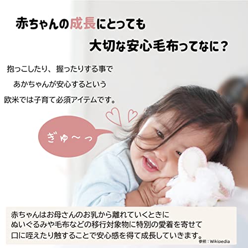 DEIGO Baby Shower Gift, Baby Cuddle Blanket, Newborn Pacifier Towel, Weaning Gift for Boys and Girls, Made in Japan, Bear Blue Pouch #3003