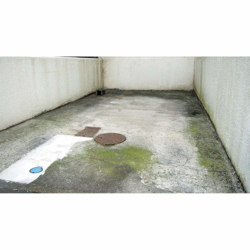 Toyaku Moss and Mold Remover 420ml