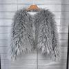 Dame Faux Fur Coat Høst Vinter Fluffy Kort Coat Faux Fur Jacket