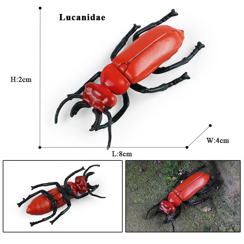 Oenux New Insect Animals Model Butterfly Bee Dragonfly Mantis Ant Snail Action Figures Jouet Collection Decor Kids Education Toy