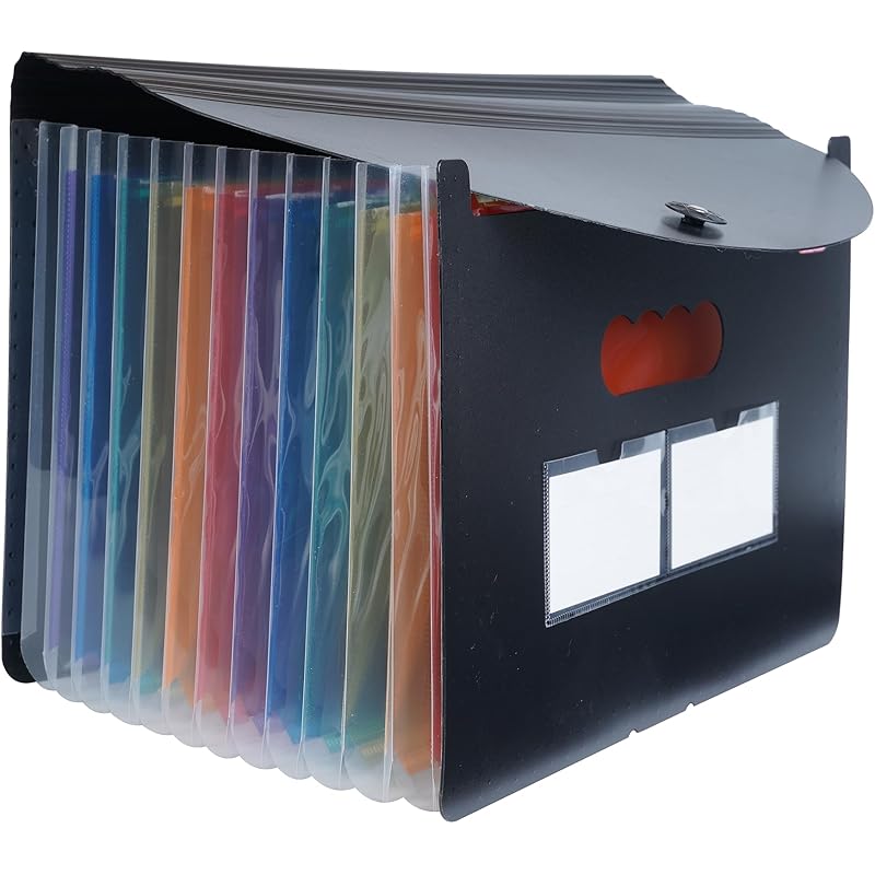 Brustro EZExpand A4 Folder 13 Pocket Expanding File Folder, Letter Size Accordion Document Organizer for School, Home &