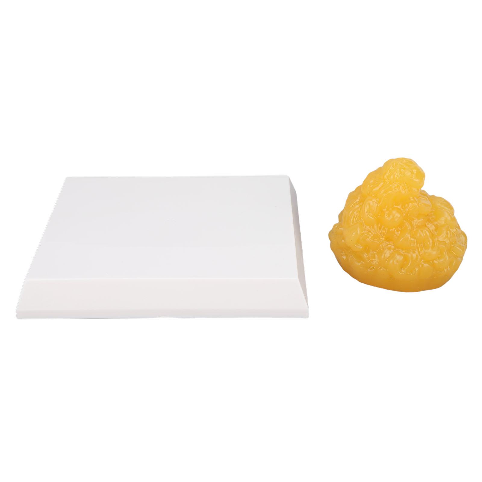 Health & Beauty Product Unisex Kids Human Body Fat Replica Human Fatty Tissue Demonstration Model Weight Reduction Motivation For Nutritionist Anatomical