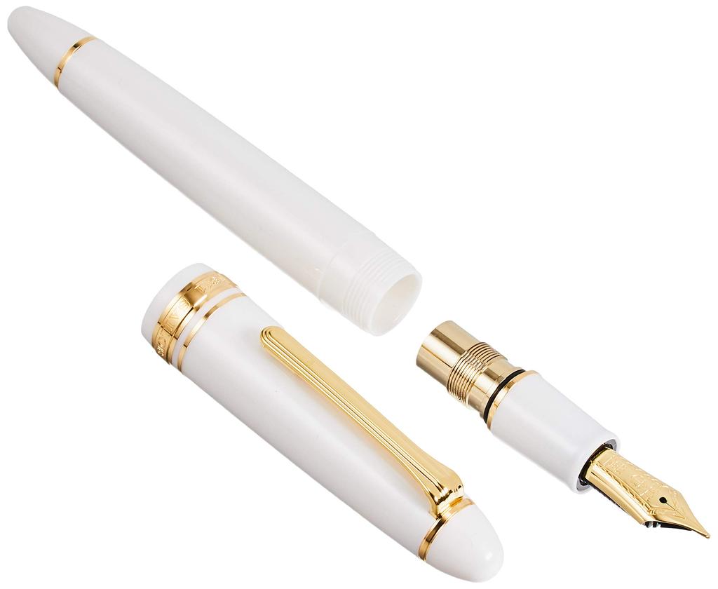 Sailor fountain pen Profit 21 White Zoom 11-2021-710