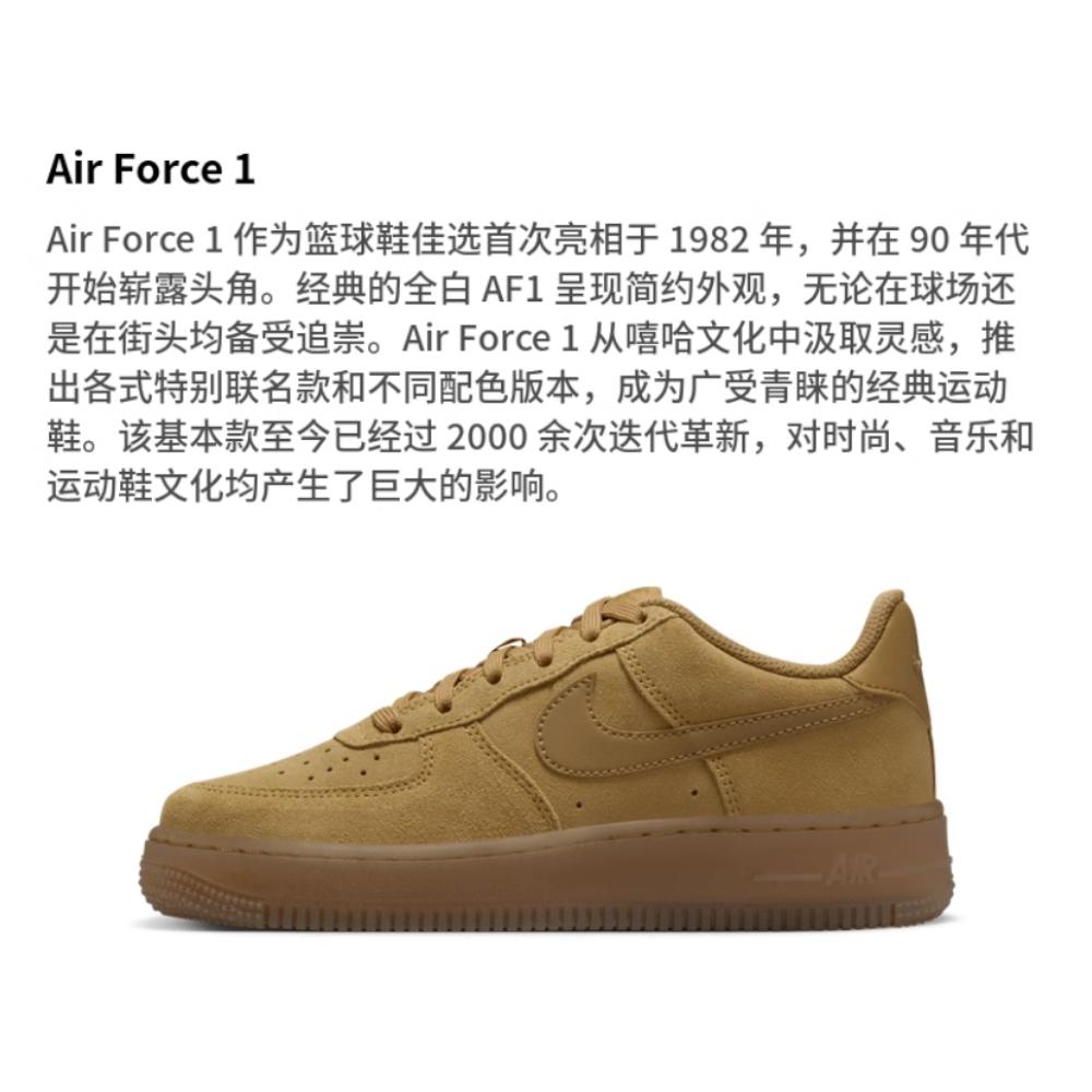 Nike Air Force 1 Leather Low Top Kids' Skateboarding Shoes Brown Unisex HQ7476-700