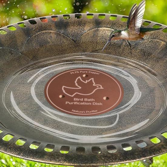 Bird Bath Copper Disk 0.8mm Thick Copper Cleaning Disk Birdbath Cleaner with Triple-Point Support for Physical Safe Clean Water Birdbath Bowl