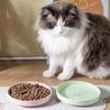 Durable Ceramic Pet Cats Plates Cartoon Pet Cat Food Bowl Shallow Mouth Pet Food Bowl Pet Water Feeder Bowl Pet Supplies