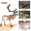 Realistic Wild Animal Elk & Reindeer Cognitive Toy for Kids