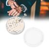 6497 Watch Movement Automatic Mechanical Watch Movement Replacement Part6497 Watch Movement
