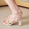 French Silver Sandals Women's 2025 Spring New Fashion Thick Heel High Sense Shoe Temperament Word with High Heels