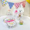 Cat and Dog Birthday Party with Lace Hats, Neckties Set, Cat and Dog Coats, Water Towels, Pet Accessories
