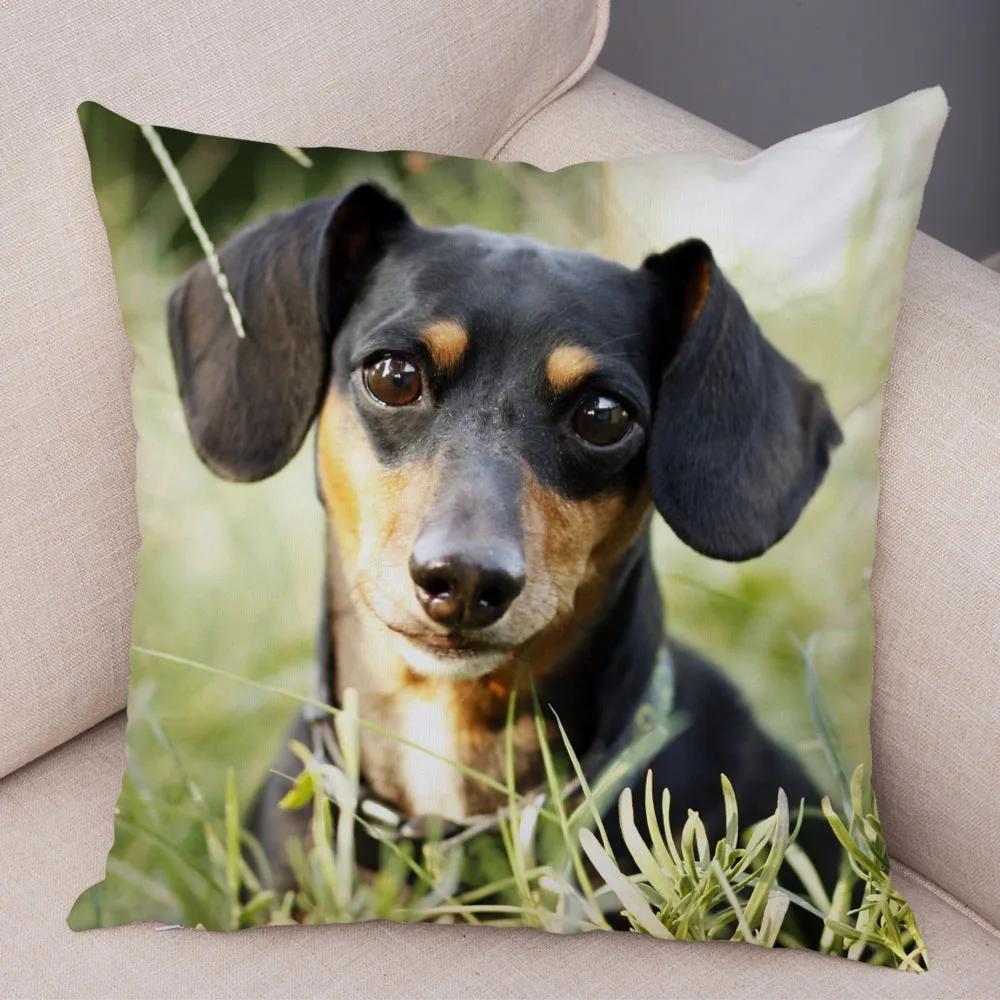 Mini Dackel Hund Kissenbezug Dekor Haustier Tier Kissenbezüge Superweicher Plüsch Kissenbezug für Sofa Zuhause Kinderzimmer 45x45cm