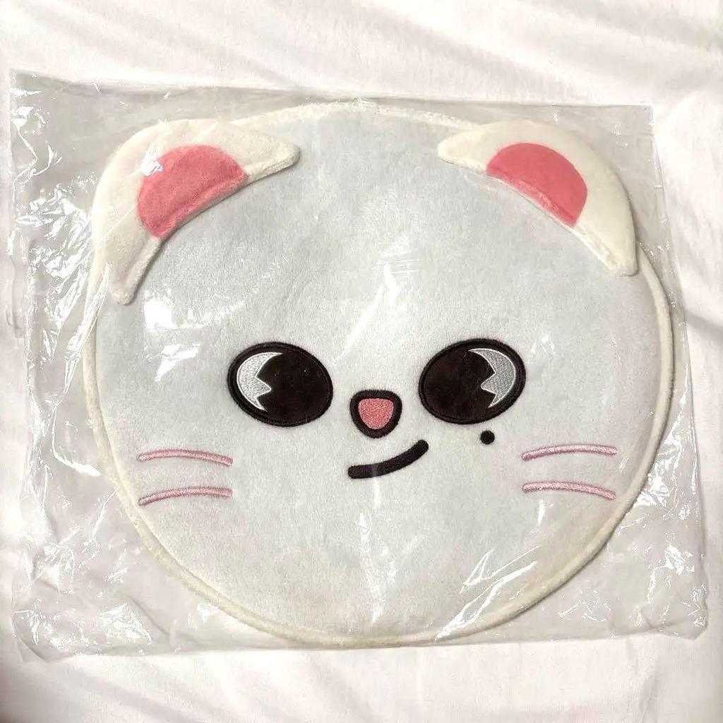 [USED] Fan Case Jinillet Hyunjin Stray Kids