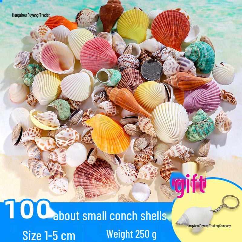 Handmade Decorative Seashells & Starfish for Fish Tanks: Landscaping, Painting, Specimens, Whelks, Hermit Crabs