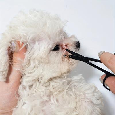 Tieraugenpflegebürste Sanfter Tränenfleckentferner Haarentwirrer Beidhändiges Design Tierhaarentferner Hundebürste zur Fellpflege