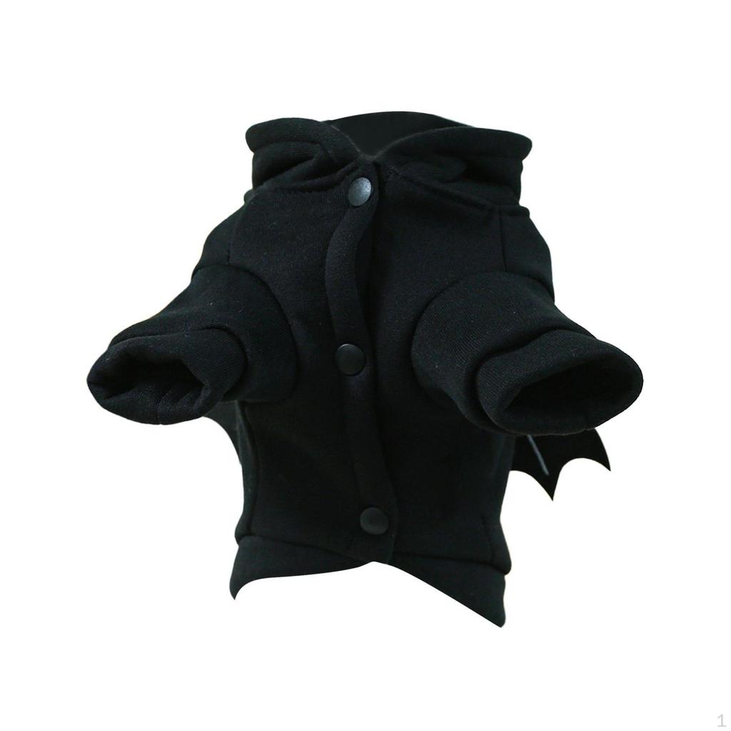 Festive Pet Attire for Halloween and Year Celebrations