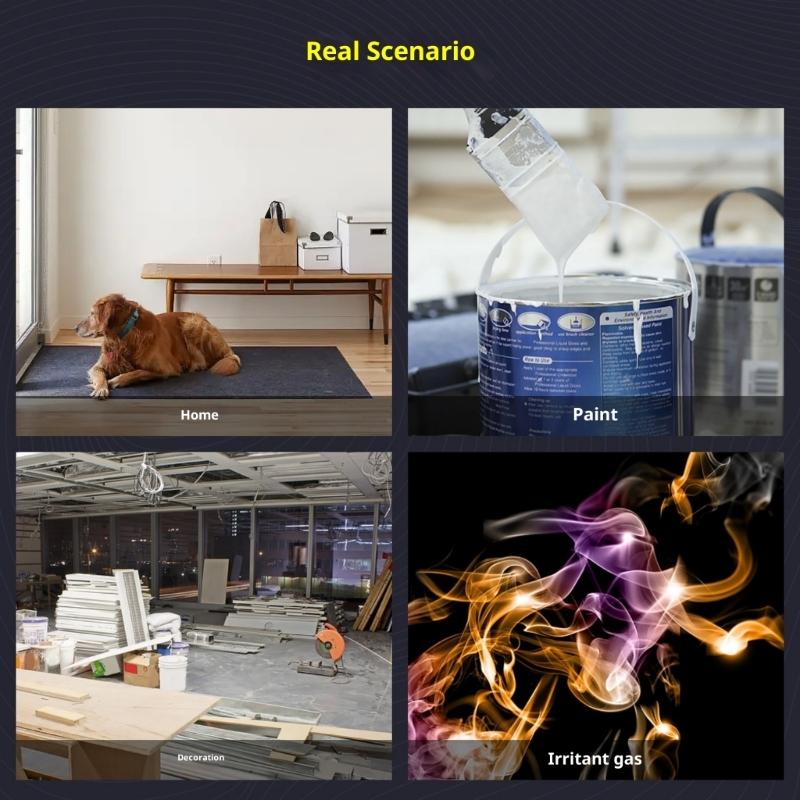 Multifunction Gas Analyzers Lightweight Design Build in Alarm Systems Immediate Air Quality Data Temperature Humidity Test