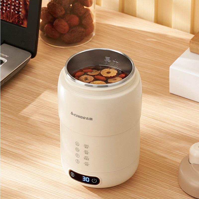 

220V Portable Travel Electric Home Temperature Controlled Office Health Stew Cup Automatic Thermos Kettle 500ml EU