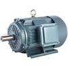 YE3 Three-Phase Asynchronous Motor