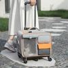 Borsa da Viaggio Portatile per Animali Domestici per Gatti e Cani Piccoli con Manico a Trolley Design Anti-Stress Elevata Estetica Zaino per Gatti per
