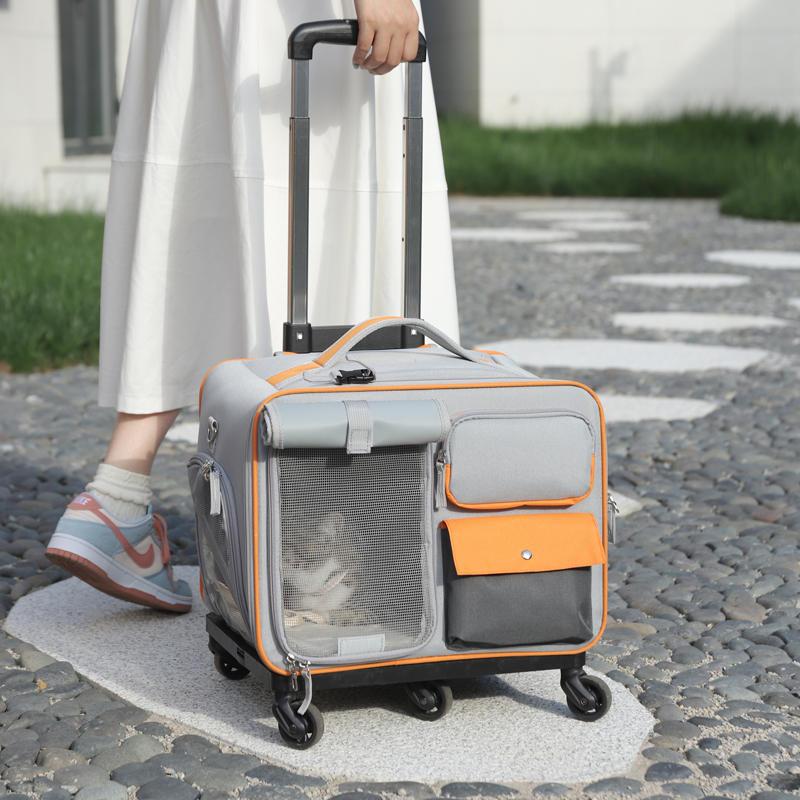 Borsa da Viaggio Portatile per Animali Domestici per Gatti e Cani Piccoli con Manico a Trolley Design Anti-Stress Elevata Estetica Zaino per Gatti per