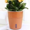 Plant Pot Eye-catching Heat Resistant Plastic Automatic Water Absorption Plant Pot with Cotton Ropes for Home