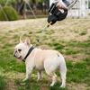 Dual Retractable Dog Leash Double Headed 16ft Extendable Lead with Poop Bag Dispenser And LED Light for 2 Small Dogs Up To 5kg