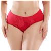 Women Pantie Sexy Lace Elastic Lingerie Knickers Underpants Underwear L-4XL