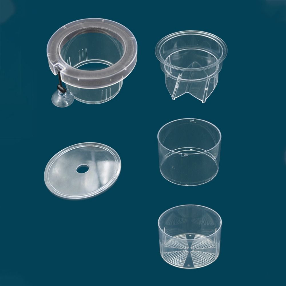 Suction Cup Floating Hatching Box Semi-transparent Aquarium Breeder Feeder  Aquarium
