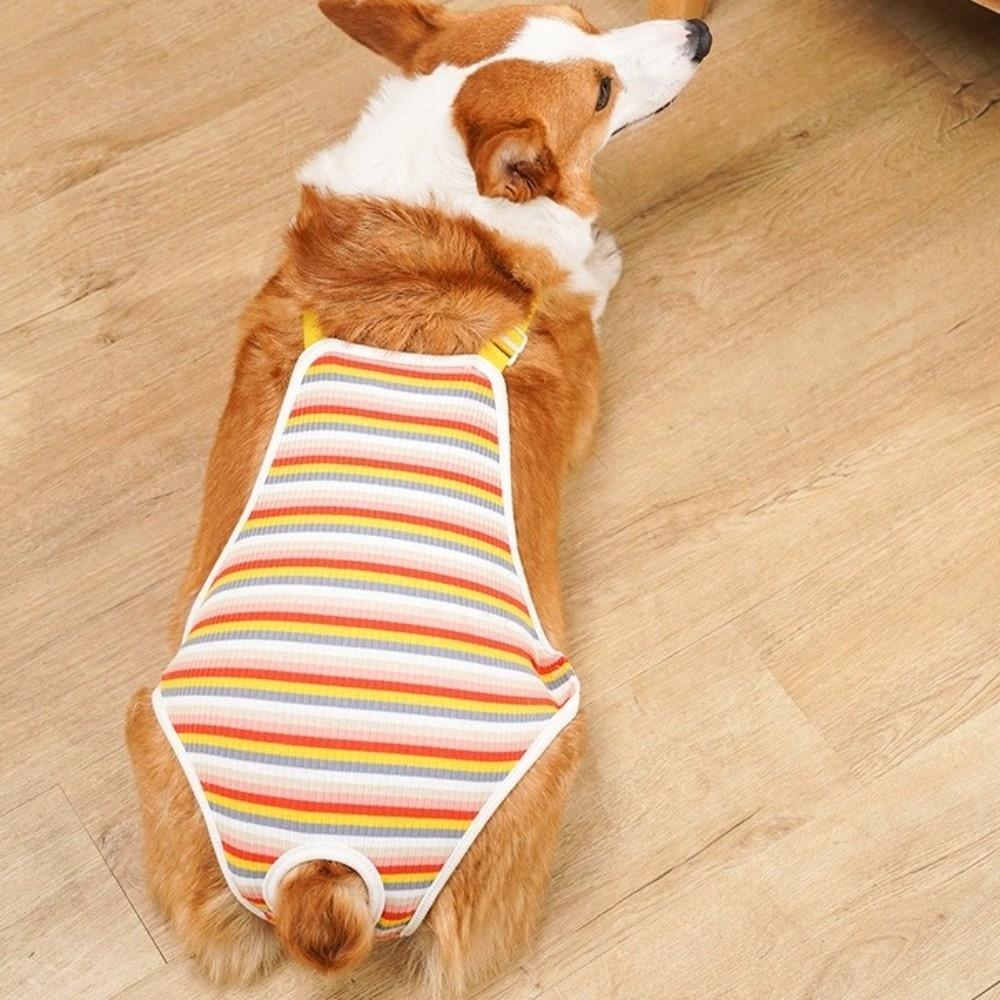 Adjustable Straps Female Dog Underwear Stripe Pet Safety Trousers Dog Underwear  Pet Heat Cycle