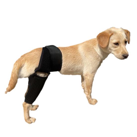 Dog Knee Brace for ACL Tear Adjustable Leg Support Bracket Dog Tendinitis Support Sleeve Easy Install Dog Leg Bracket