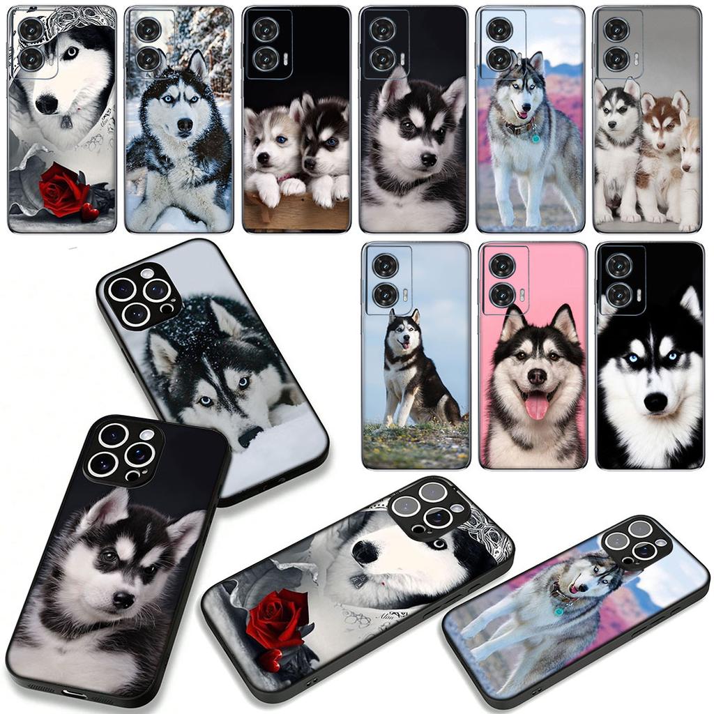 Phone Cover for Samsung Galaxy A07 A13 A12 A14 A23 A42 A50 A51 A52 A53 A70 A71 A72 A21S A04 Note 20 9 8 10 Case Husky Dog Casing