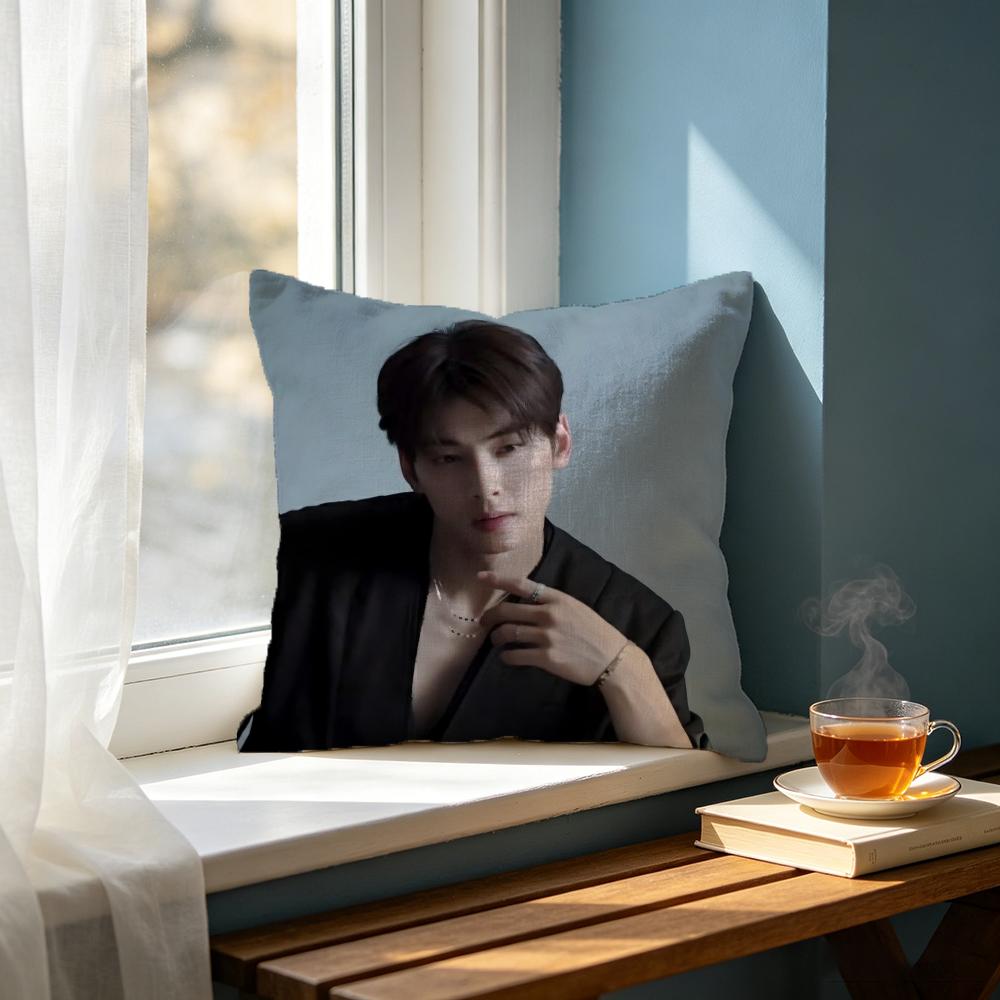 actor Cha Eun Woo Cushion Cover Cushion Cover Set  50x50 45x45 40x40 Pillowcase Decorative Sofa Home Decor