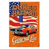 Tin Sign Wall Art Retro Metal Painting Home Decor 20x30cm