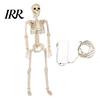 Creepy Window Display Decor 36 Inches LED Light Up Halloween Skeleton, 3FT Life Size Full Body Cemetery Themed Landscaping Posable Plastic Human Bones