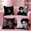 WWang Yibo Cushion Cover Soft Plush Throw Pillow Cushion CoverDoubleSided Printed Pillow Case for Sofa Home Decor