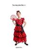 Spanish Bullfighter Flamenco Costume for Halloween or Dance Shows